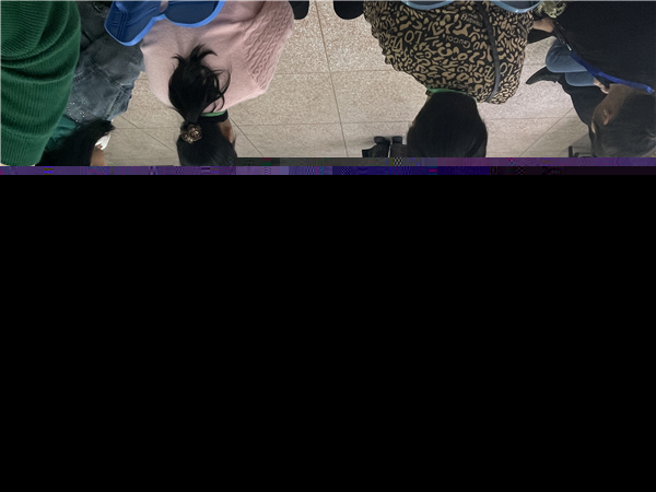 c5b0865532db436ca80d1aca397eb480.jpg